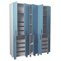 Шкаф для медикаментов медицинский (глухие дверцы, полки, 11 корзин) ЗШМ-07 — купить в Медмебель.ру