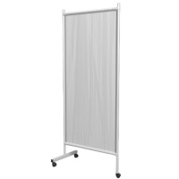 Ширма медицинская односекционная ШМ-01П-МСГ на колесах — купить в Медмебель.ру