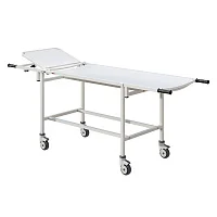 Тележка для перевозки больных ТБсп-01 МСК-401-01М — купить в Медмебель.ру