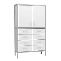 Шкаф лабораторный АСК ШЛ.02.05 Стандарт (разборный) — купить в Медмебель.ру