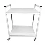 Стол лабораторный мобильный СЛм 17.004