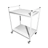 Стол лабораторный мобильный СЛм 17.004