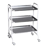 Столик медицинский предметный СМП-1 (нерж/нерж/нерж) — купить в Медмебель.ру