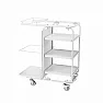 Тележка медицинская для процедурных кабинетов ЕЛАТ мод. 5