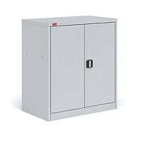 Шкаф медицинский ШАМ-0.5/920 — купить в Медмебель.ру