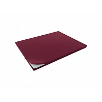 Матрас ЭсДжиМедикал (720x680x20, бордовый) — купить в Медмебель.ру