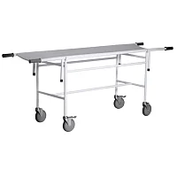 Тележка для перевозки больных со съемной панелью ТБС-01 — купить в Медмебель.ру