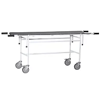 Тележка для перевозки больных со съемной панелью ТБС-01 с ложем из нержавеющей стали — купить в Медмебель.ру