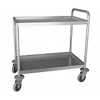 Тележка медицинская внутрикорпусная Айболит ТН-2 — купить в Медмебель.ру