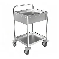 Тележка медицинская внутрикорпусная Айболит ТН-2/1 — купить в Медмебель.ру