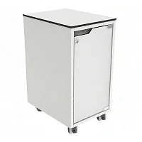 Тумба медицинская подкатная Айболит ТП-1а — купить в Медмебель.ру