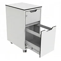 Тумба медицинская подкатная Айболит ТП-1ла (исполнение 2) — купить в Медмебель.ру